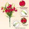 12 Bundles UV Resistant Artificial Petunia Flowers for Outdoors, Fake Spring Summer Flowers with Fern and Eucalyptus, Outdoor Indoor Garden Planter Porch Decoration
